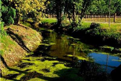 Inaugurazione della Riserva Naturale Fontanile Brancaleone in Caravaggio